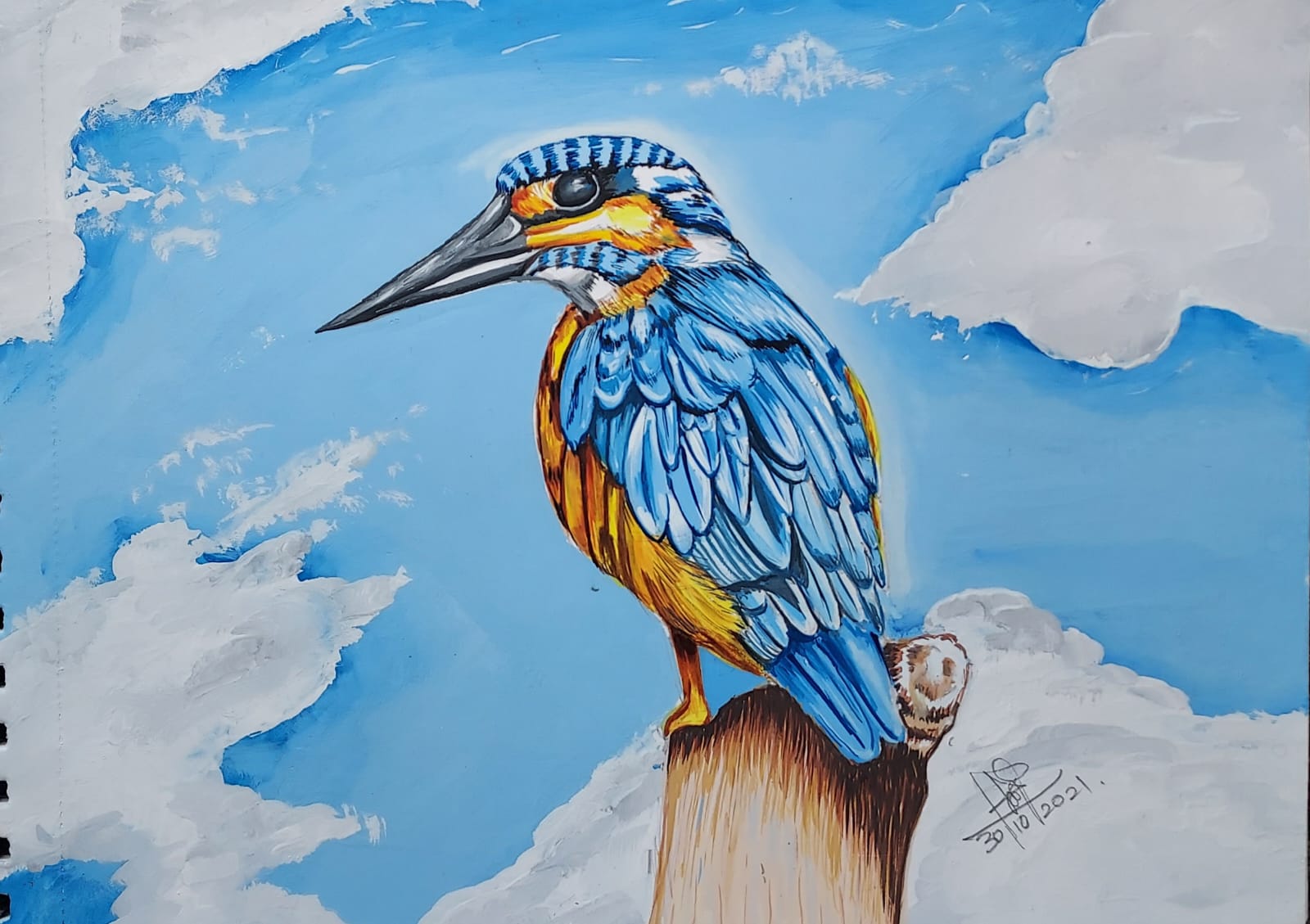 Kingfisher in the sky — Poster colour